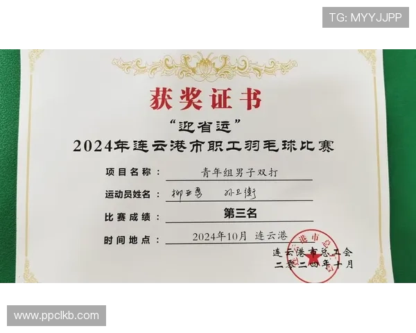 西安羽毛球队力量表现分析与数据解读探讨 西安羽毛球队力量表现分析与数据解读探讨